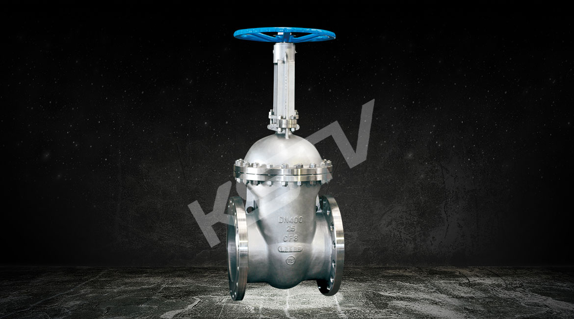 不鏽鋼大口徑閘閥