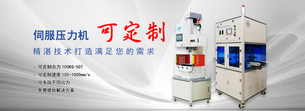 伺服壓力機可定製